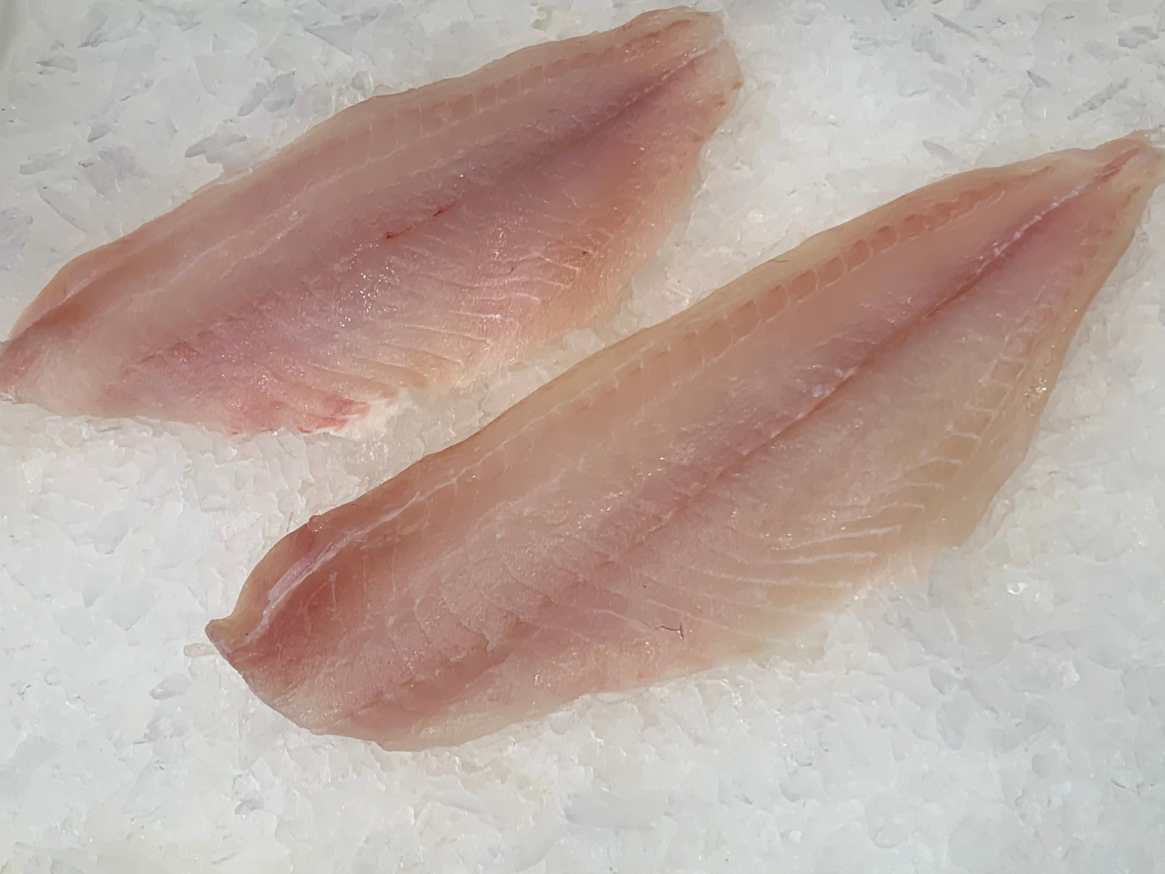 Australian Bream Fillet