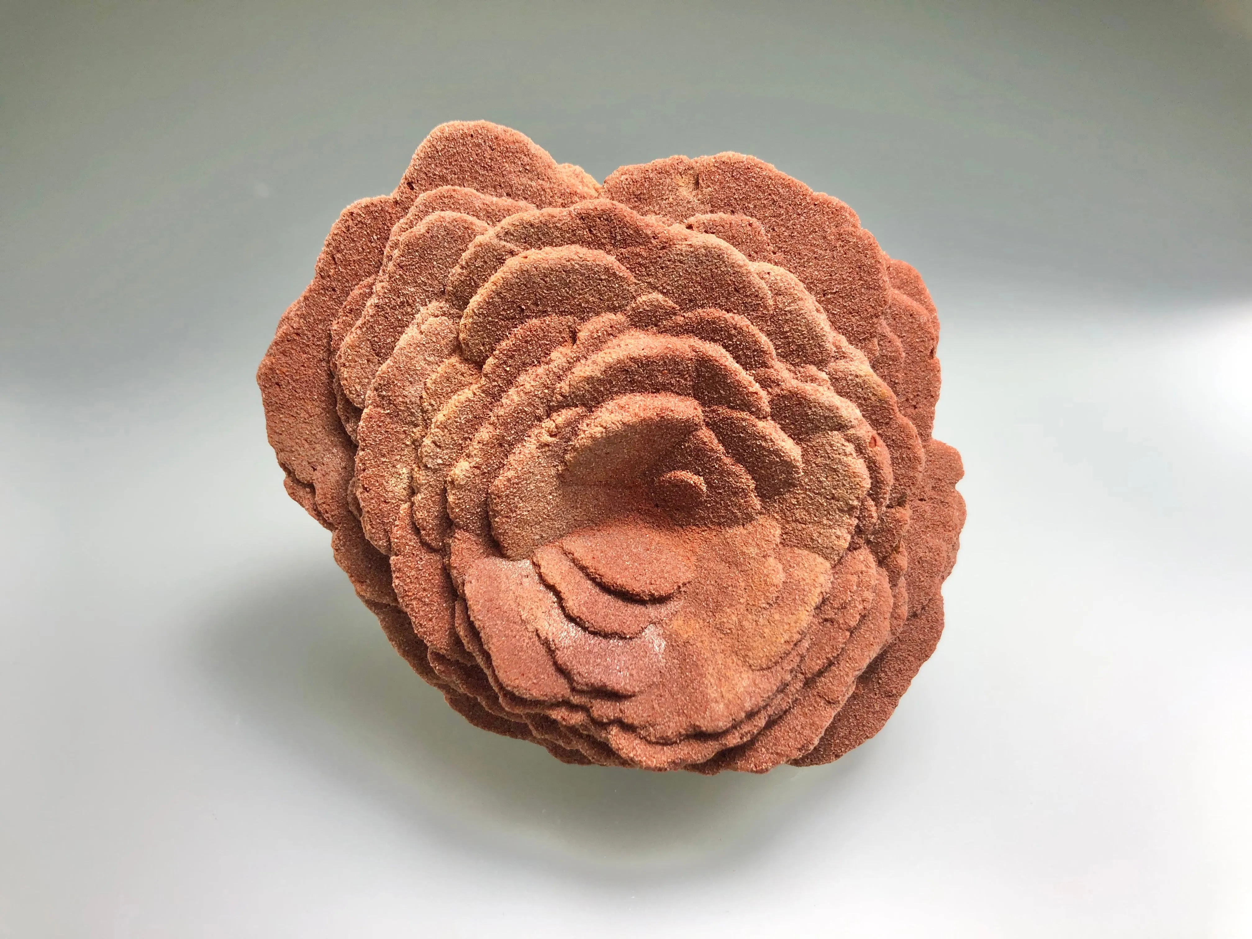 Barite (Rose), Norman, Oklahoma, Dr. David London Collection, Small Cabinet, 5.0 cm x 8.0 cm x 9.0 cm, $175.  Online Oct. 13.