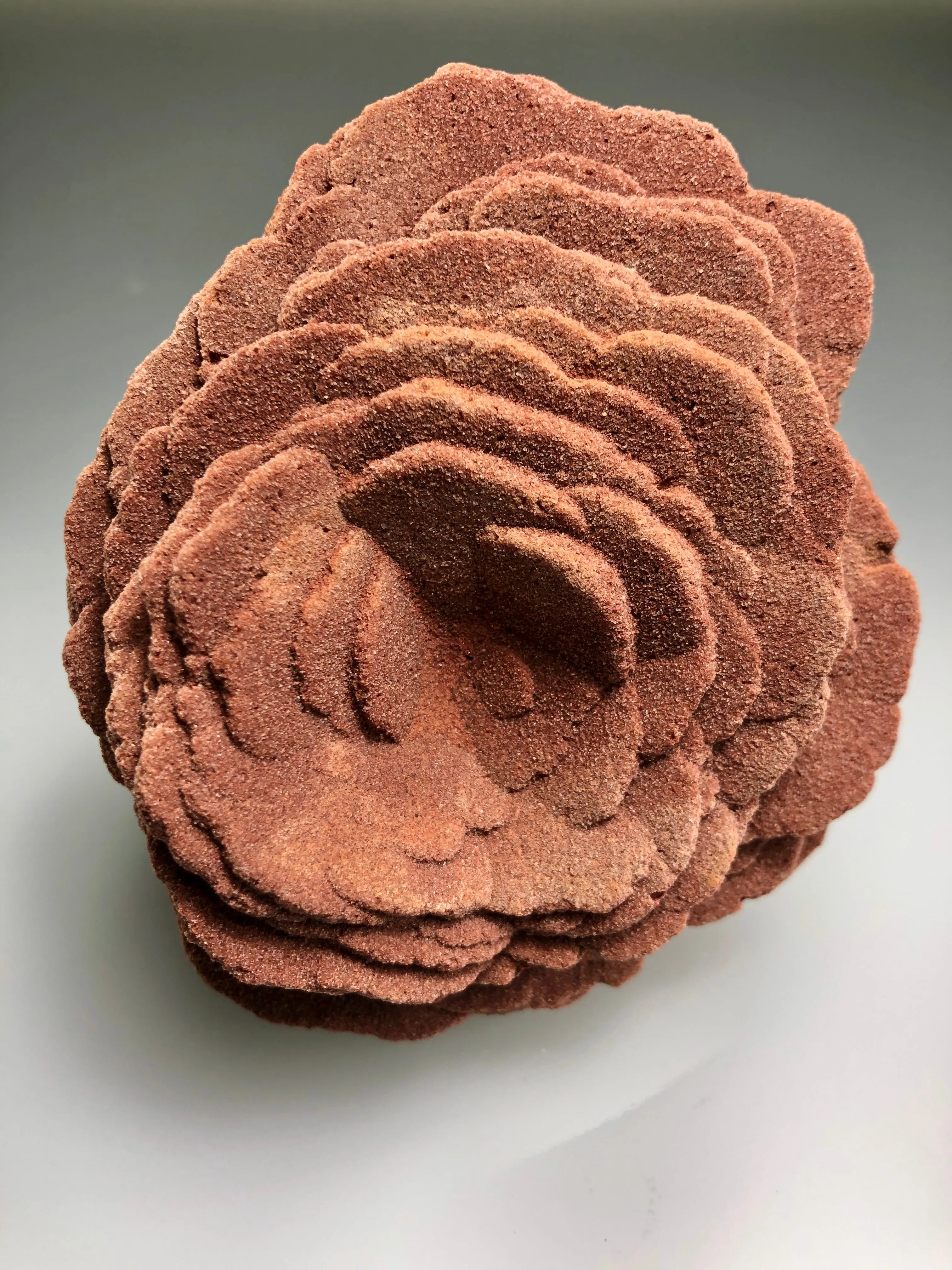 Barite (Rose), Norman, Oklahoma, Dr. David London Collection, Small Cabinet, 5.0 cm x 8.0 cm x 9.0 cm, $175.  Online Oct. 13.