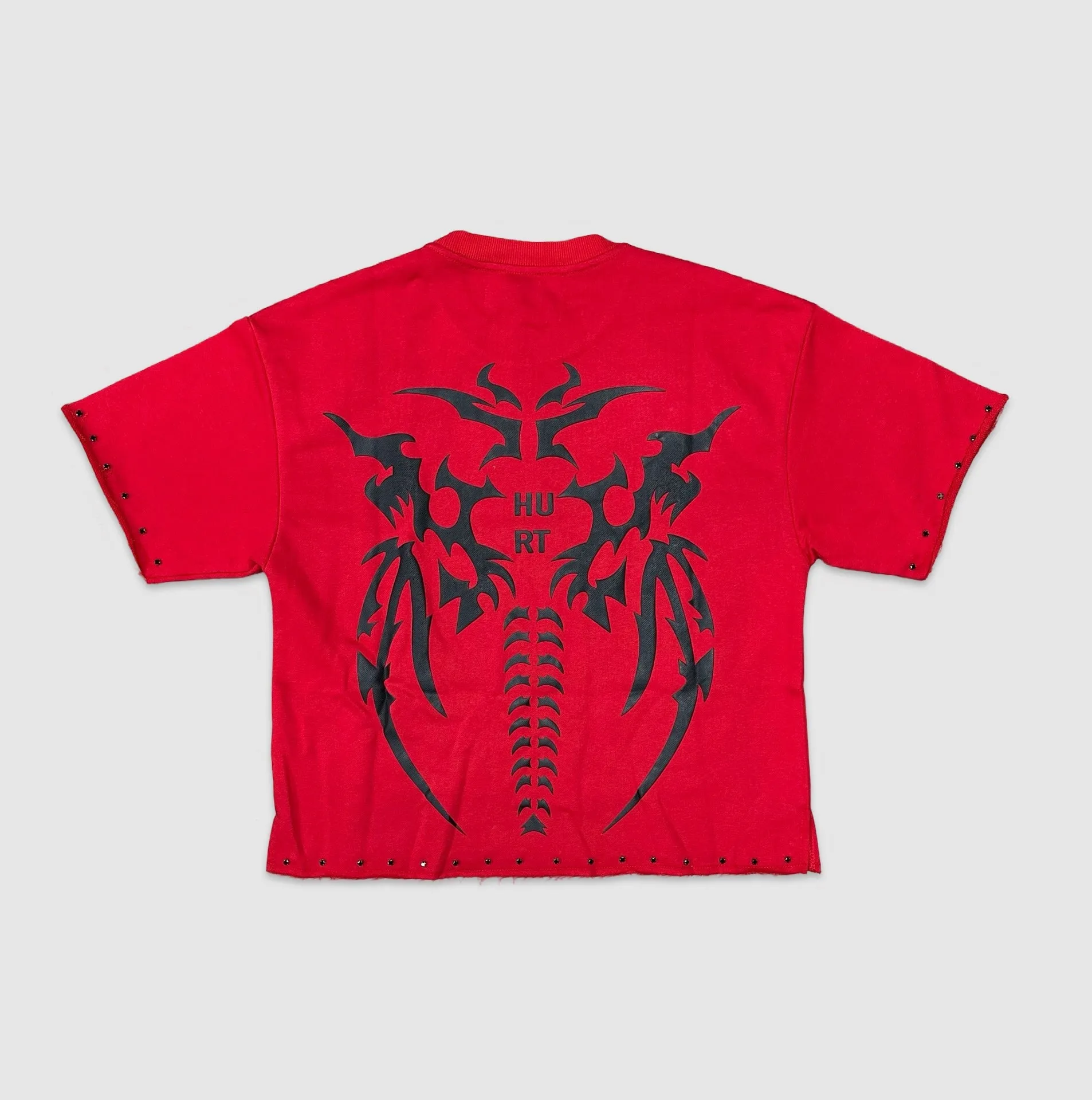 BKYS-T1285-Hurt Crop Tee