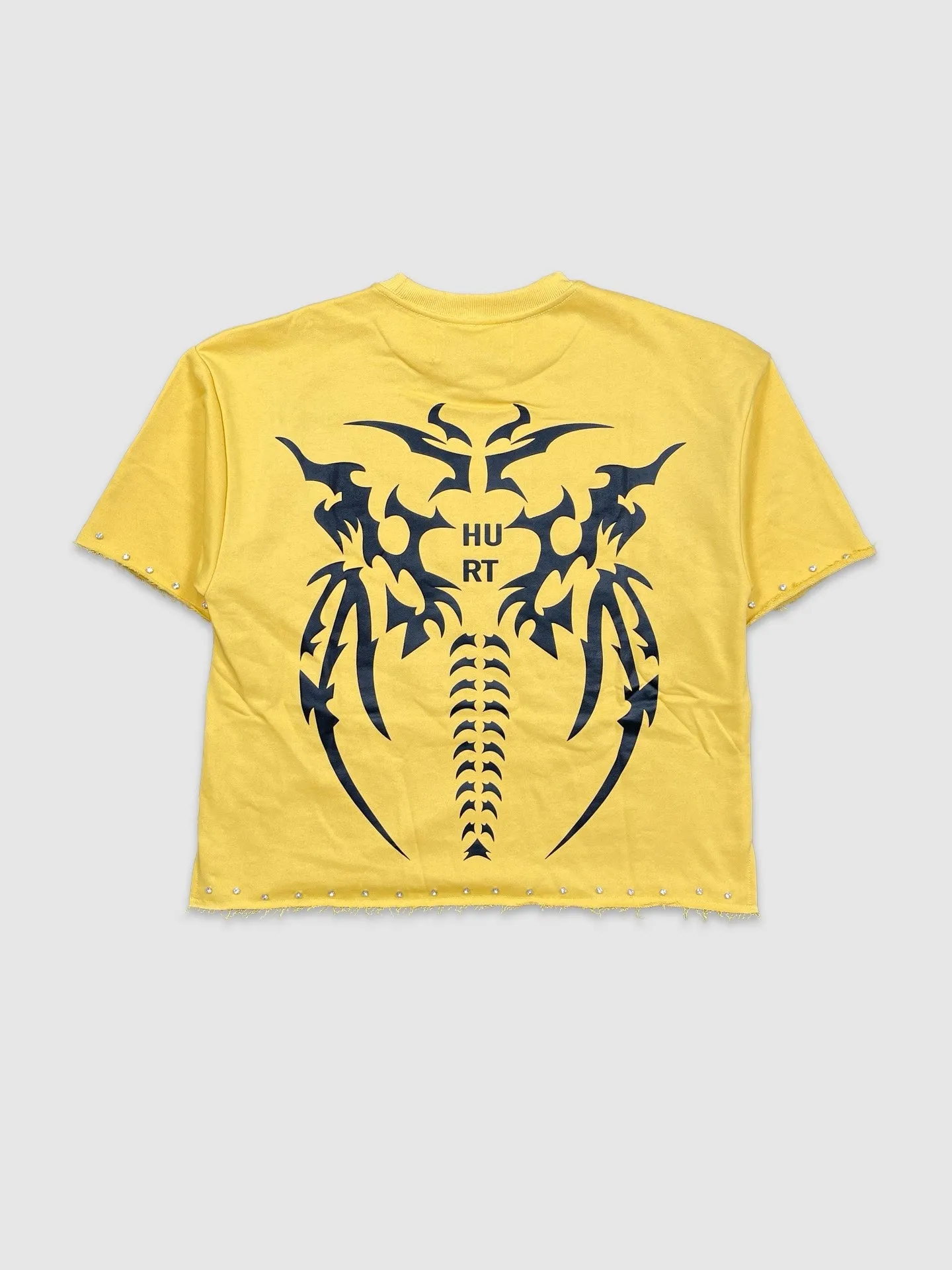 BKYS-T1285-Hurt Crop Tee