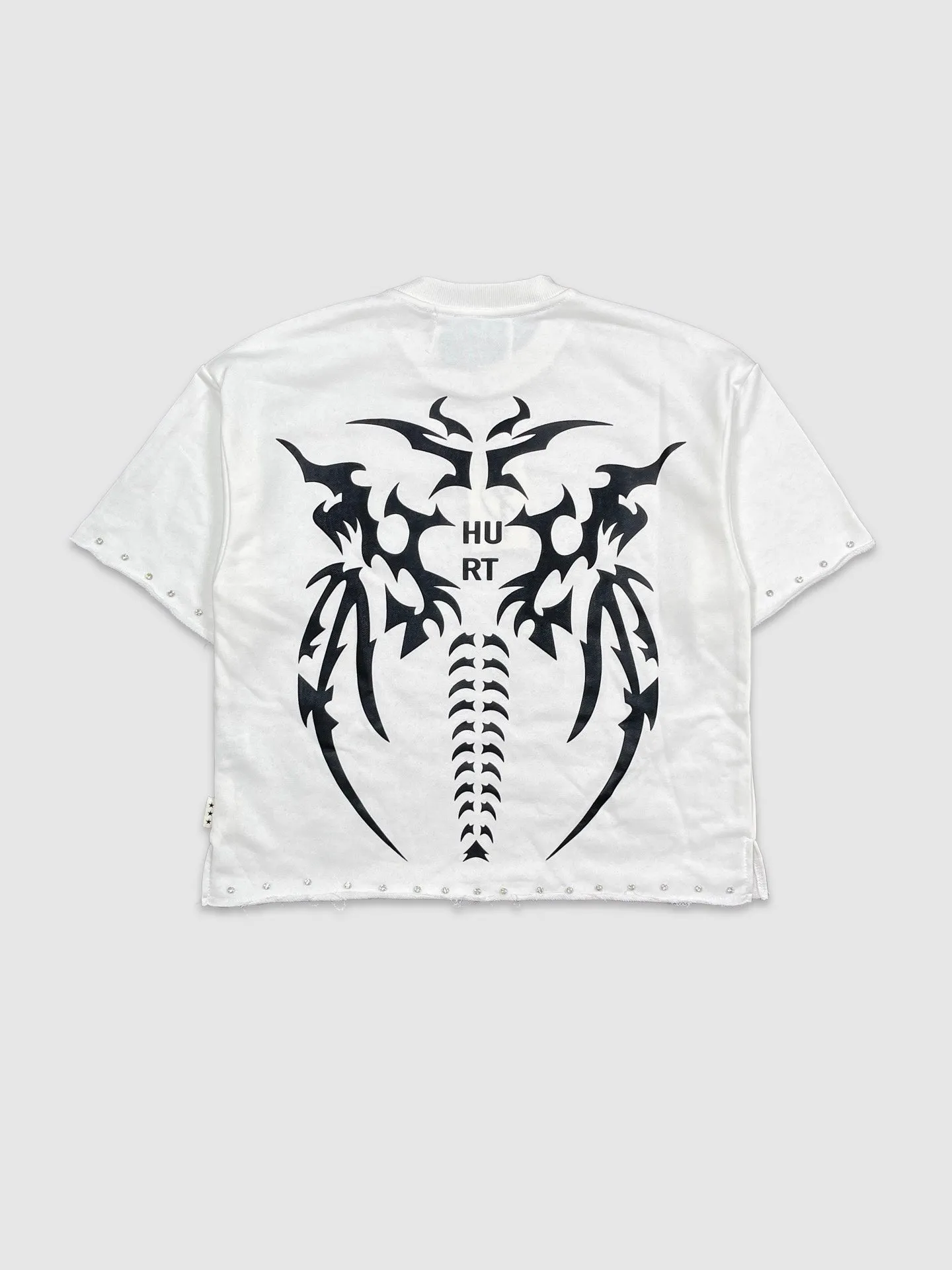 BKYS-T1285-Hurt Crop Tee