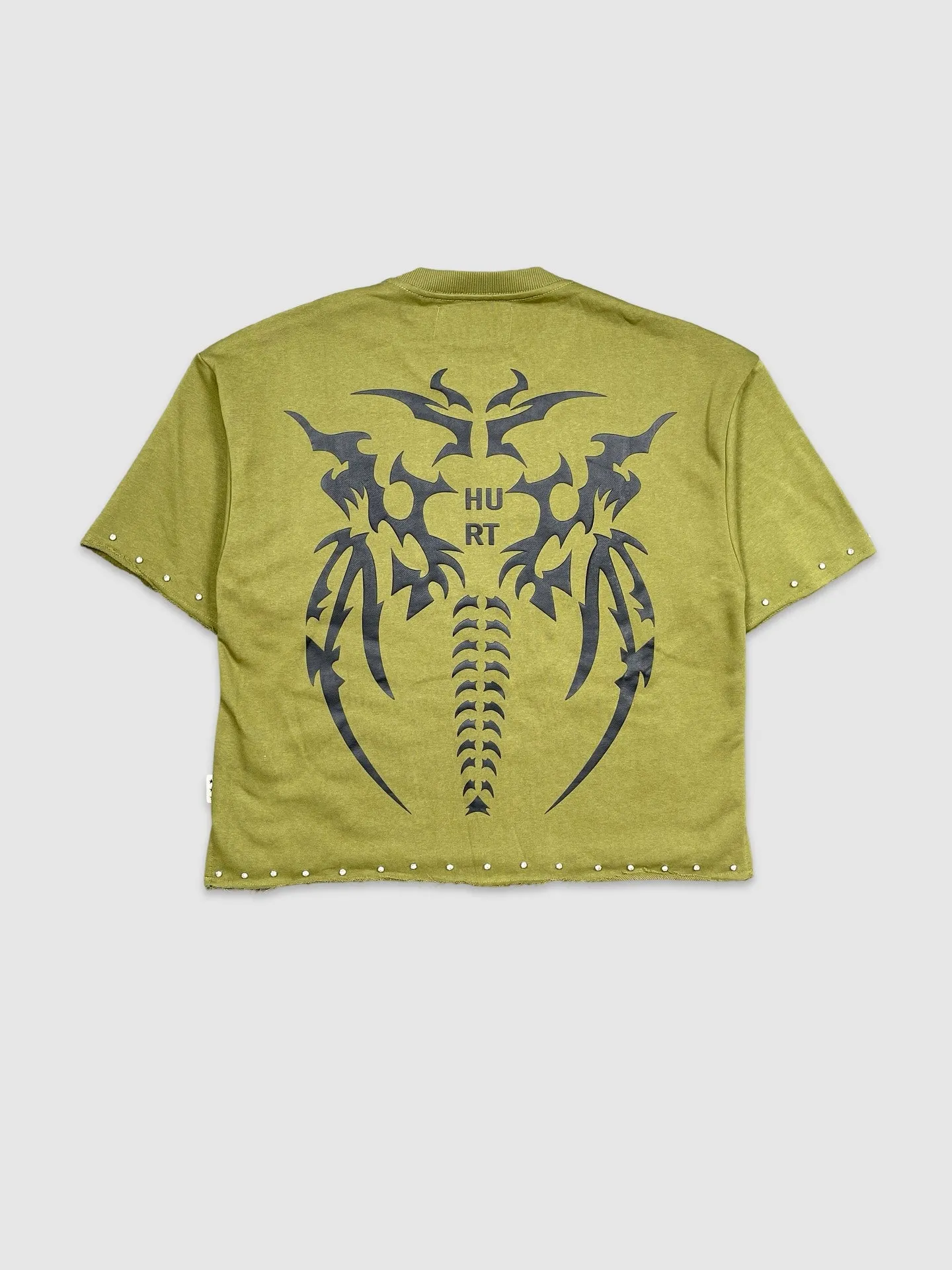 BKYS-T1285-Hurt Crop Tee