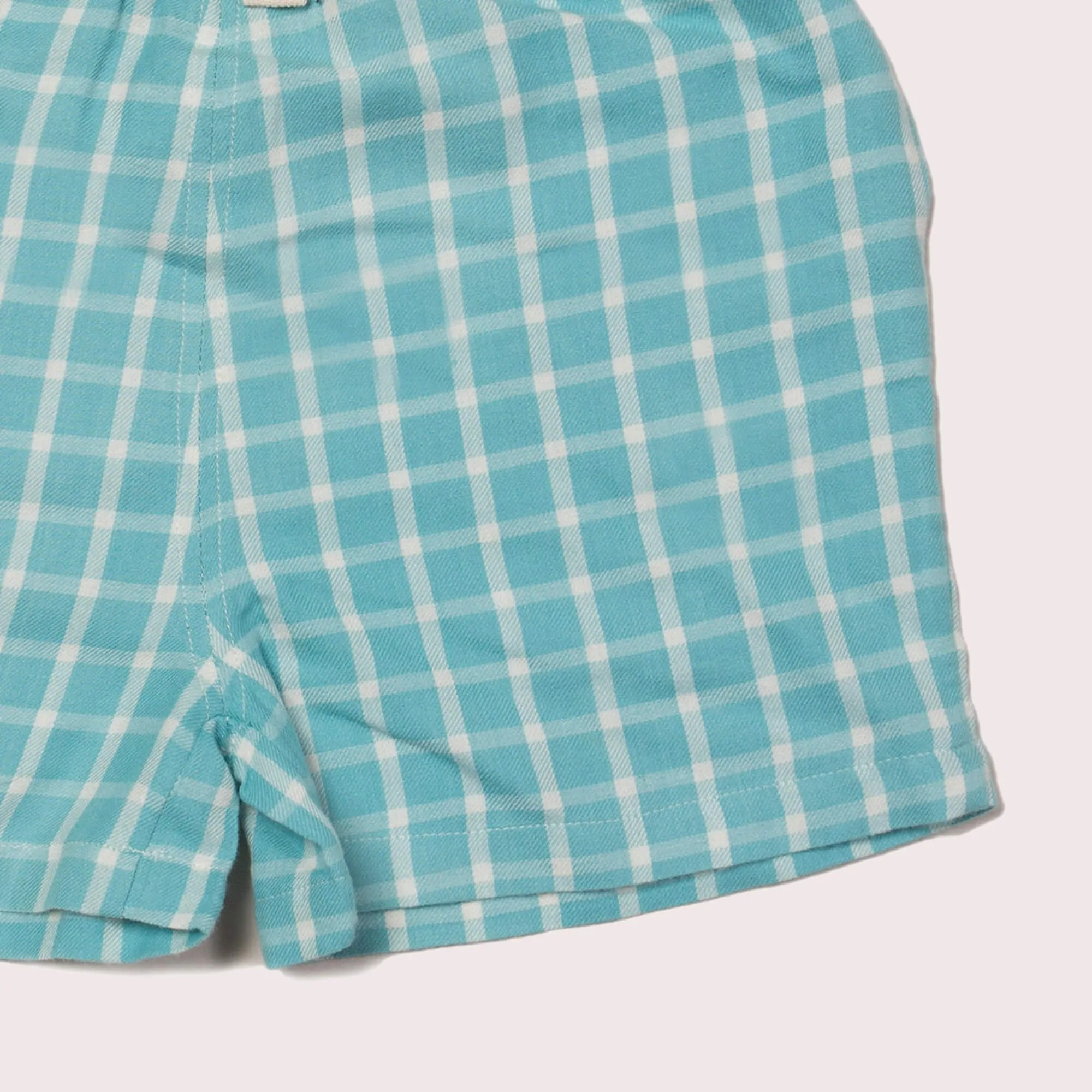 Blue Sky Check By The Sea Seersucker Shorts