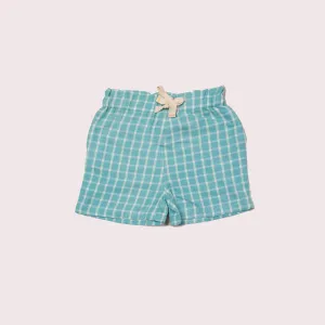 Blue Sky Check By The Sea Seersucker Shorts