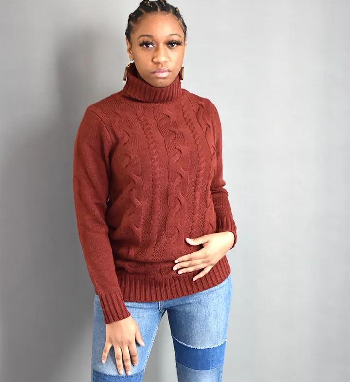 Braided Turtleneck Sweater