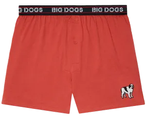 Classic Solid Logo Boxers