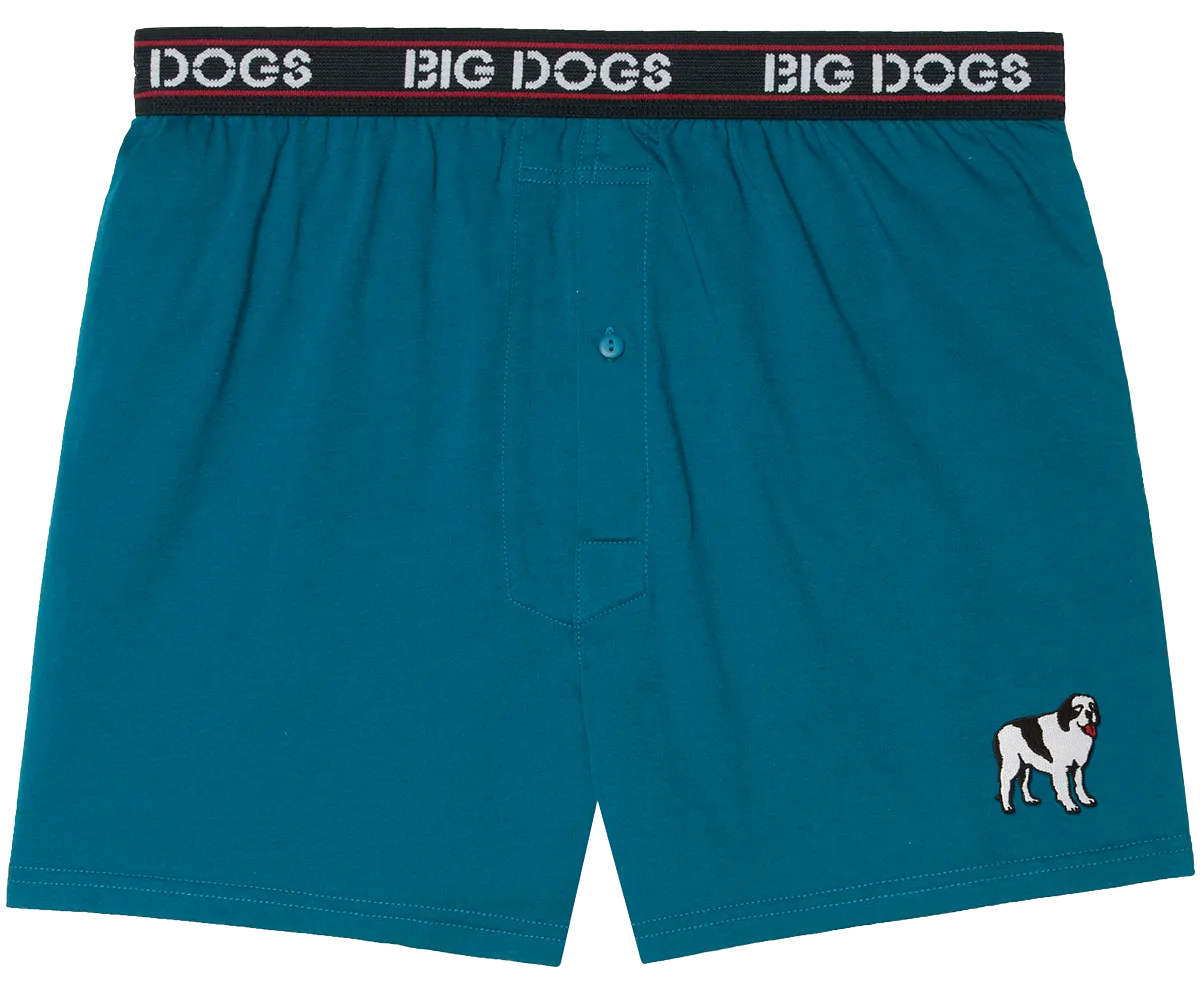 Classic Solid Logo Boxers