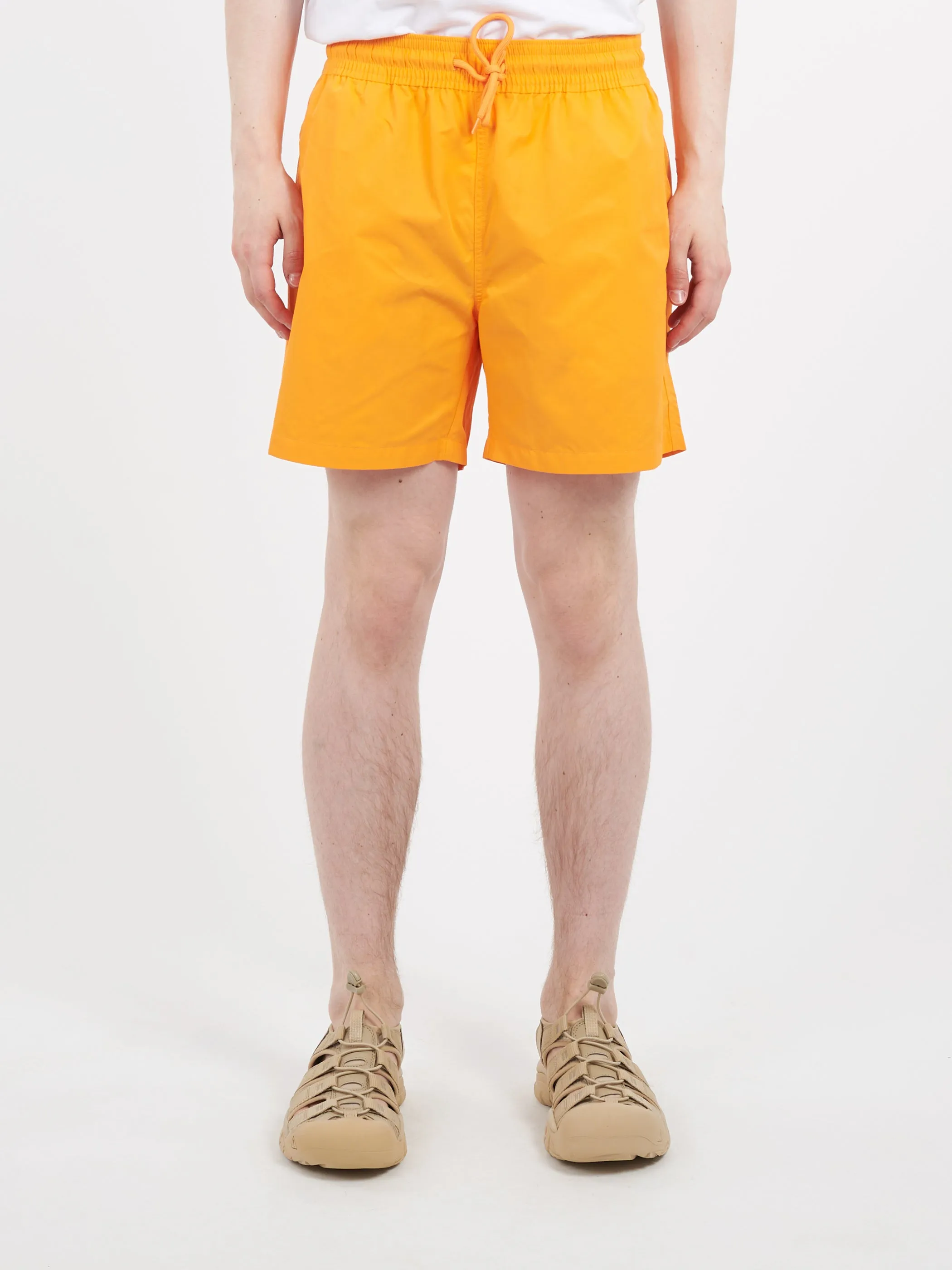 Classic Swim Shorts