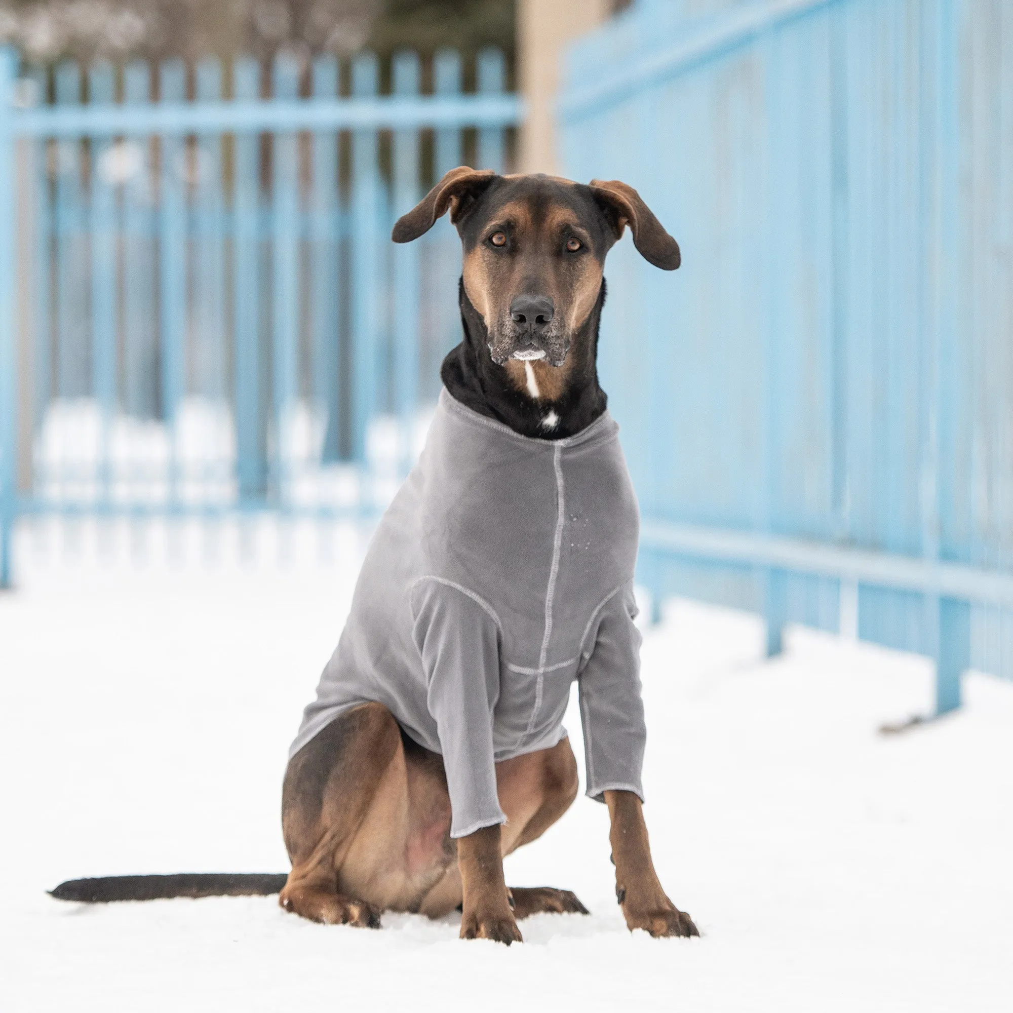 Gondola Fleece Base Layer - Charcoal