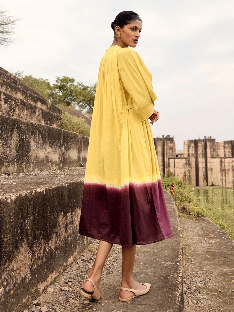 Honeycreeper Dress