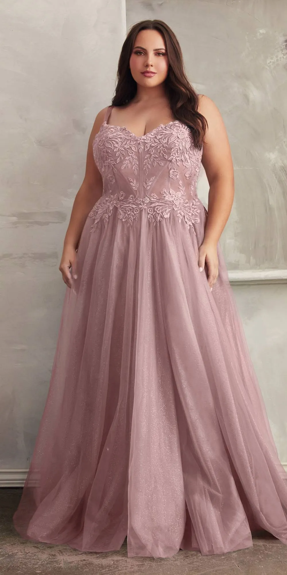 Ladivine C150 Long Lace Applique Glitter Tulle Ball Gown