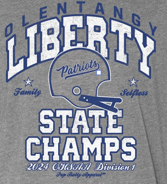 OLENTANGY LIBERTY FOOTBALL STATE CHAMP GRAY TEE