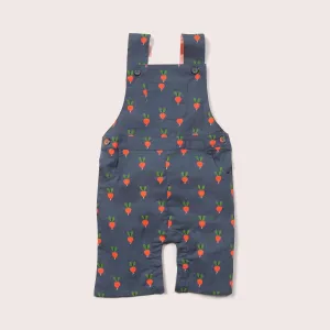Radical Radish Summer Dungarees - 2 Left Size 6-9 & 9-12 months