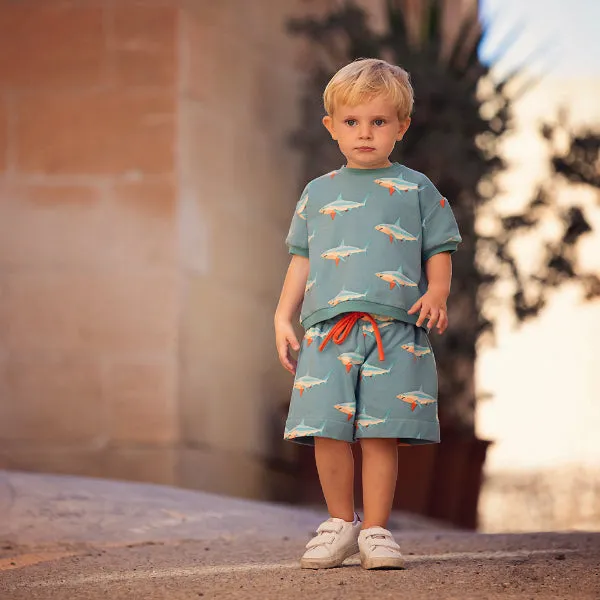 Sharks - Cotton French Terry