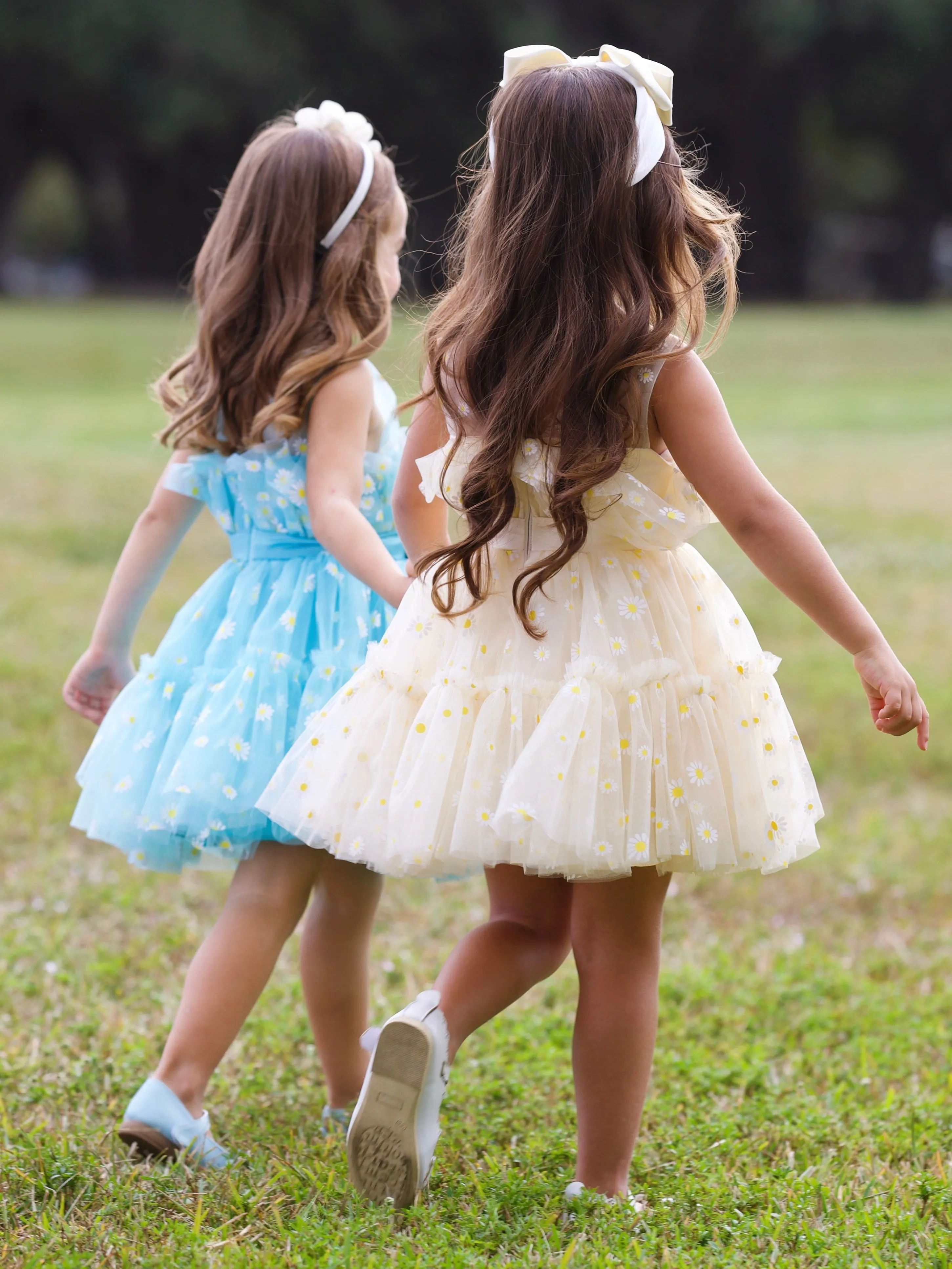 Sunshine Daisy Embroidered Floral Tutu Dress