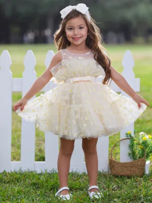 Sunshine Daisy Embroidered Floral Tutu Dress