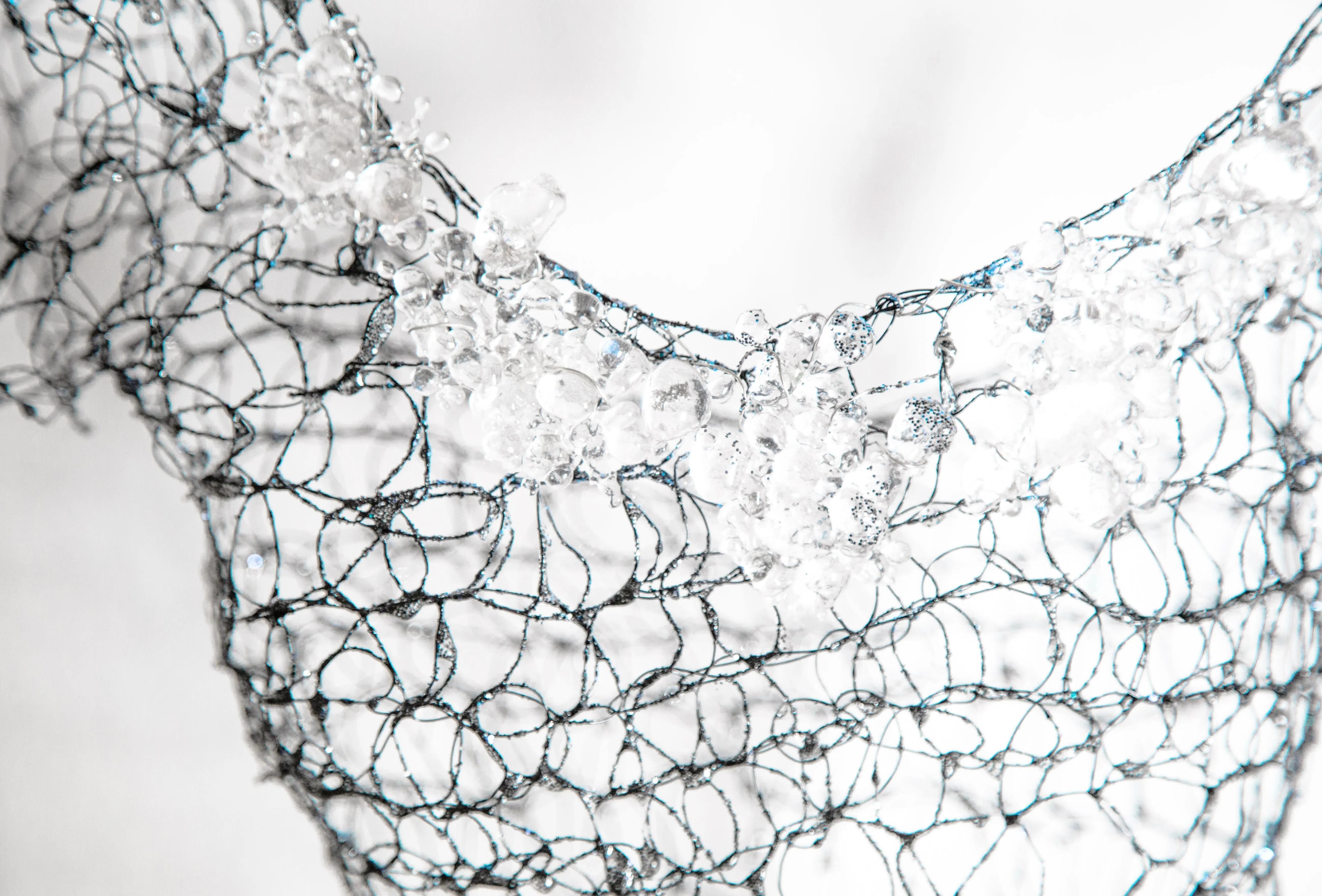 Tela Noctis (Nighttime Spiderweb)
