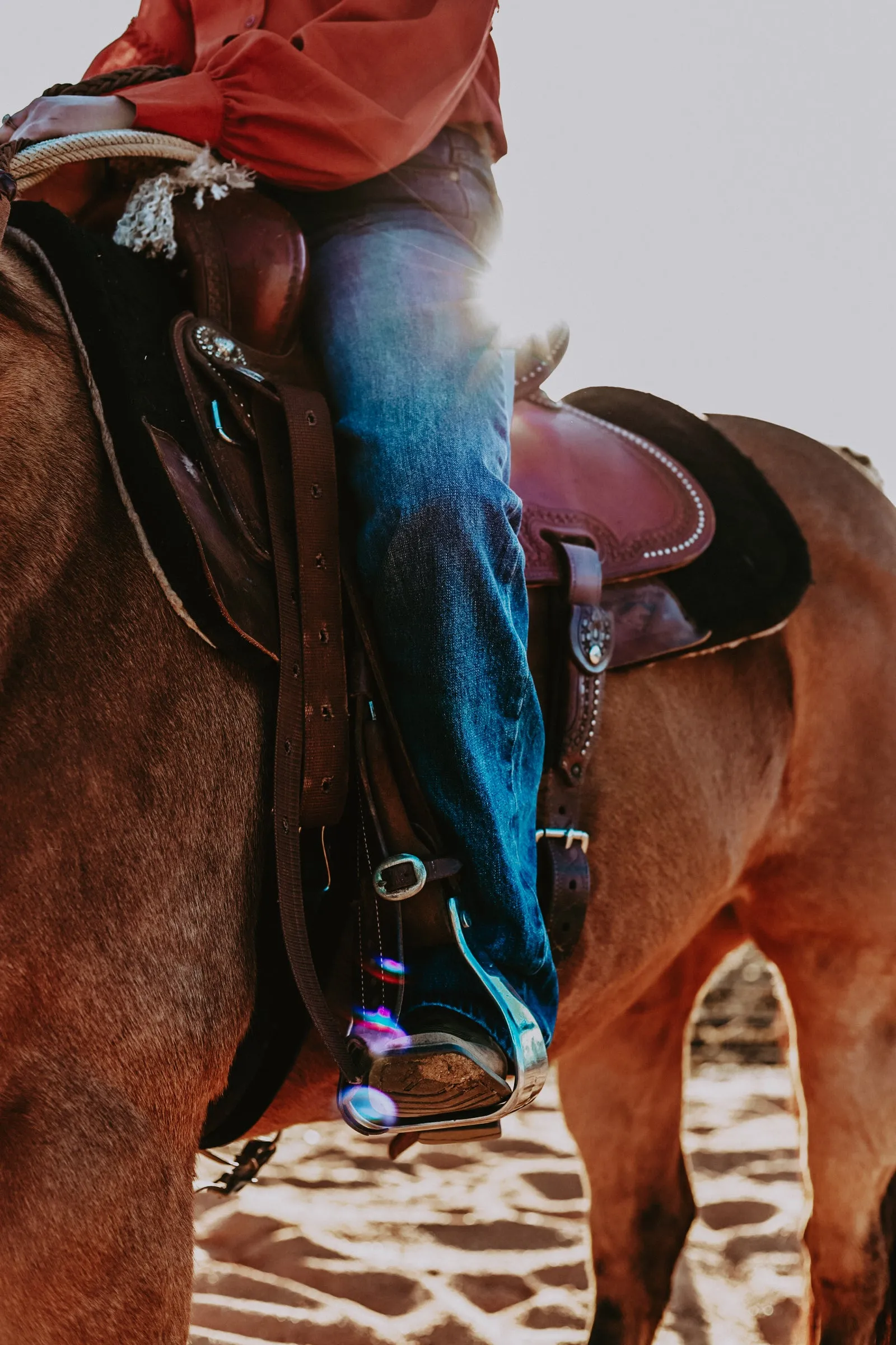 Temptress Jeans - DARK Wash