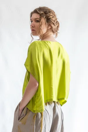 The Gaia Top