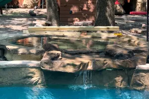 Universal Rocks Infinity Spa - Pool Spillover
