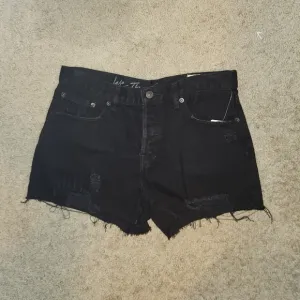 We the free Black High Rise Shorts