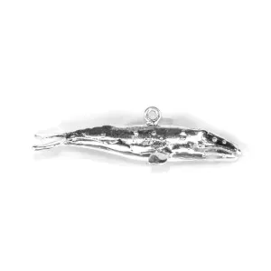 Whale, Gray