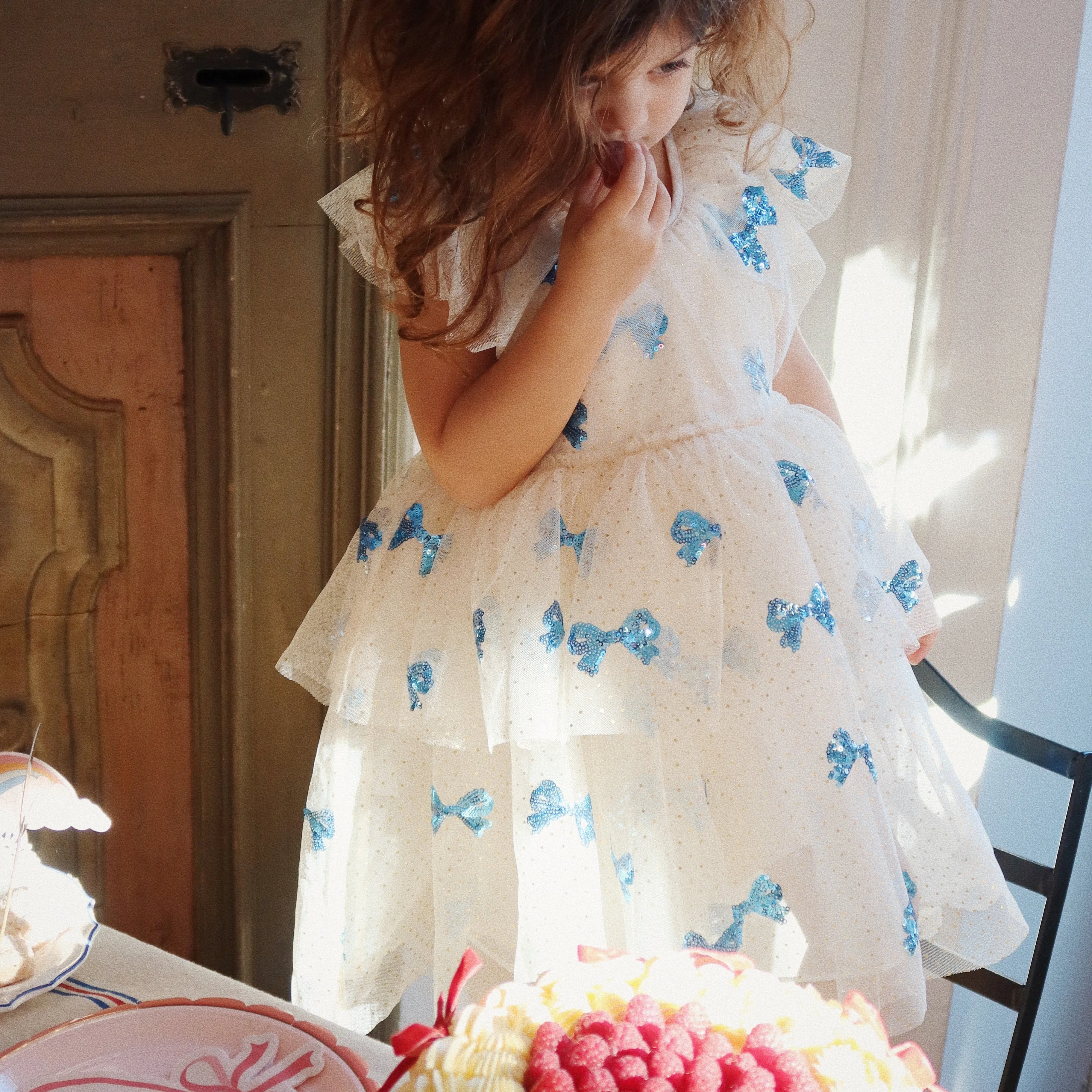 Yvonne Embroidered Sequin Bow Print Tulle Party Dress