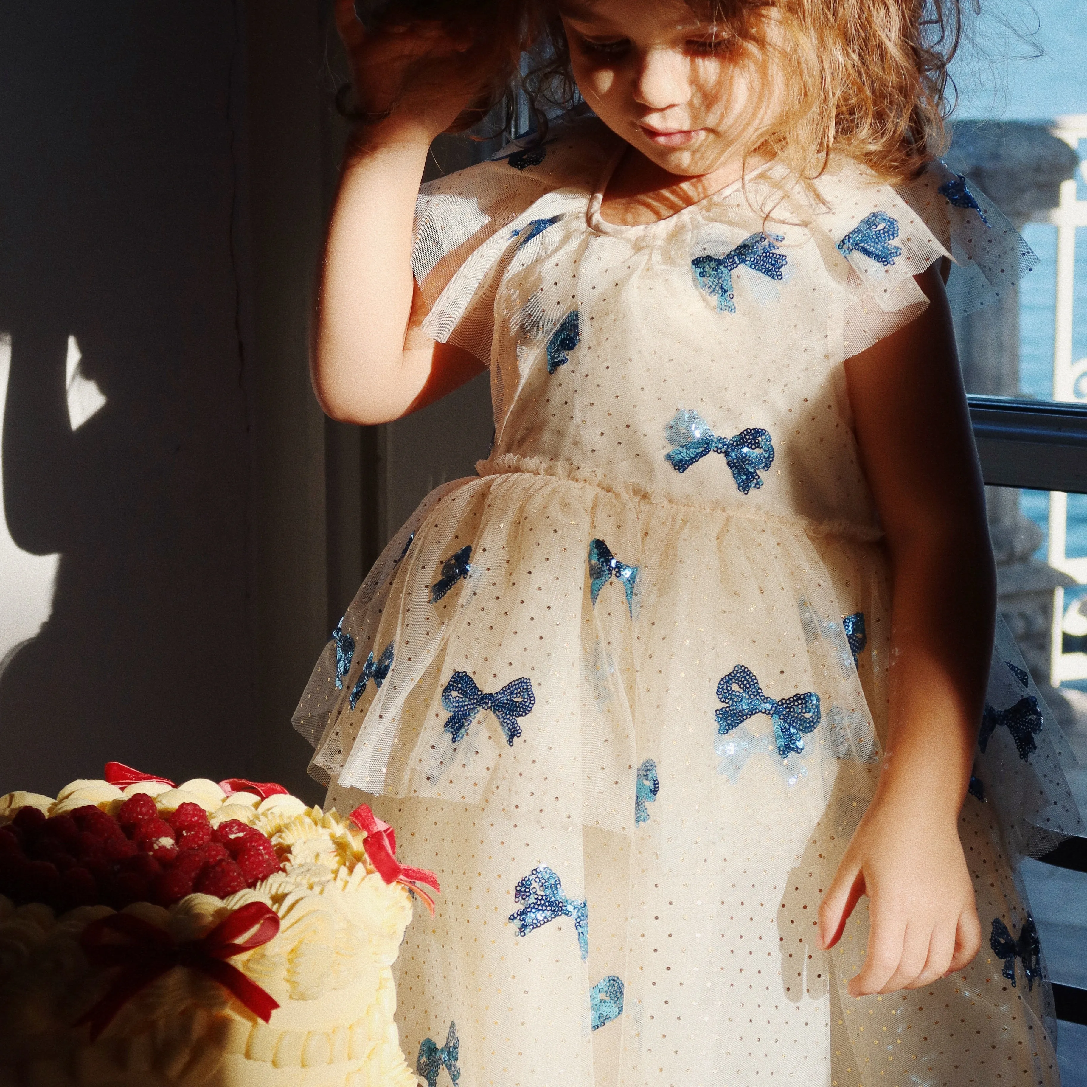 Yvonne Embroidered Sequin Bow Print Tulle Party Dress